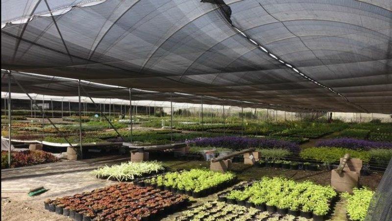 4 Bedroom Property for Sale in Durbanville Western Cape